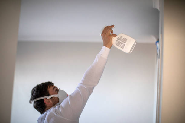 Best Residential Mold Remediation in Port Republic, NJ